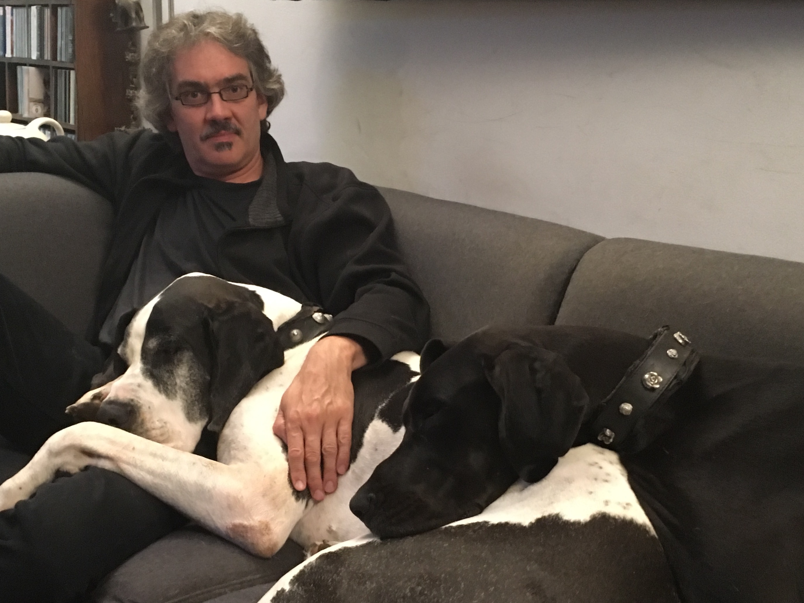 Steffen and two Great Danes on the sofa